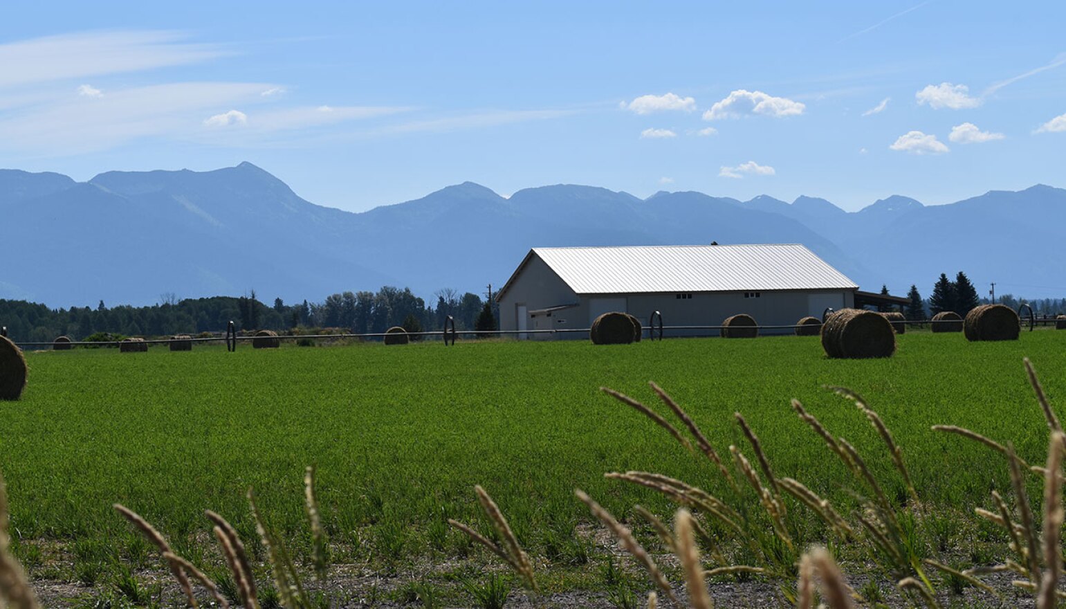 Site of the the proposed Montana Artesian Water Company bottling plant near Creston, MT.